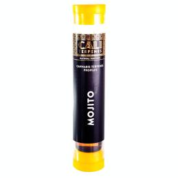 Terpenos Mojito 1ml