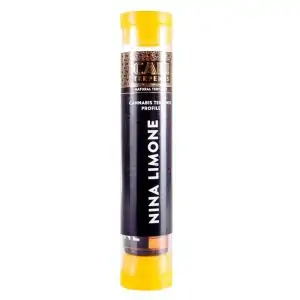 Terpenos Nina Limone 1ml