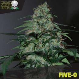 FIVE-0 BLACK SKULL