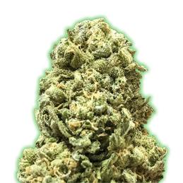 GIRL SCOUT COOKIES MONSTER GENETICS