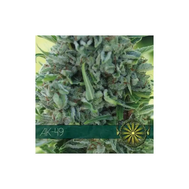 AK-49