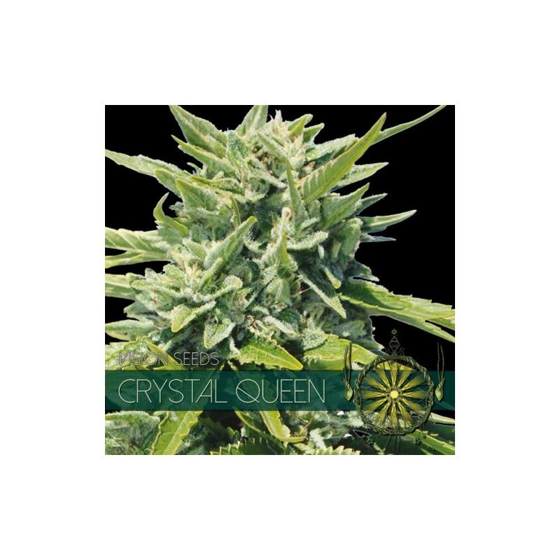 CRYSTAL QUEEN VISION SEEDS