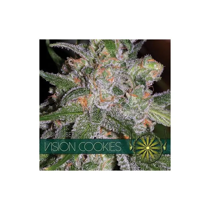 VISION COOKIES VISION SEEDS