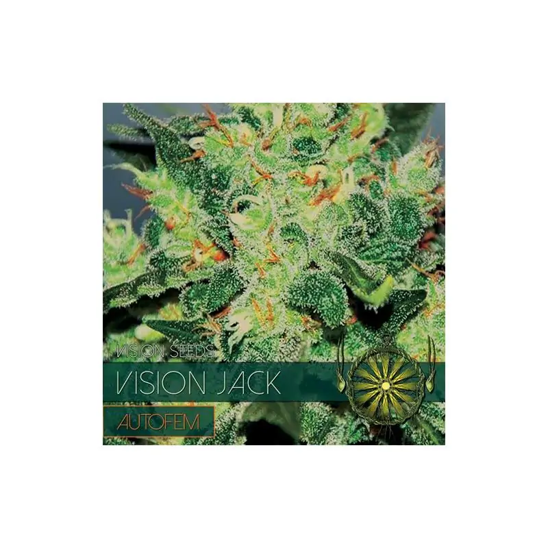 Vision Jack - Auto VISION SEEDS