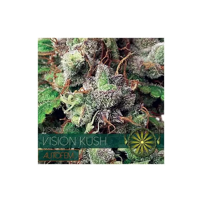 Vision Kush - Auto VISION SEEDS
