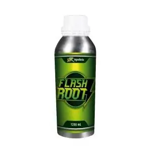 FLASH ROOT