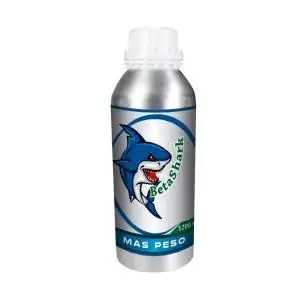 BETA SHARK
