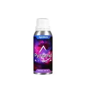 PYRAMID 100ml