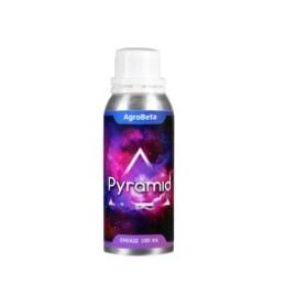 PYRAMID