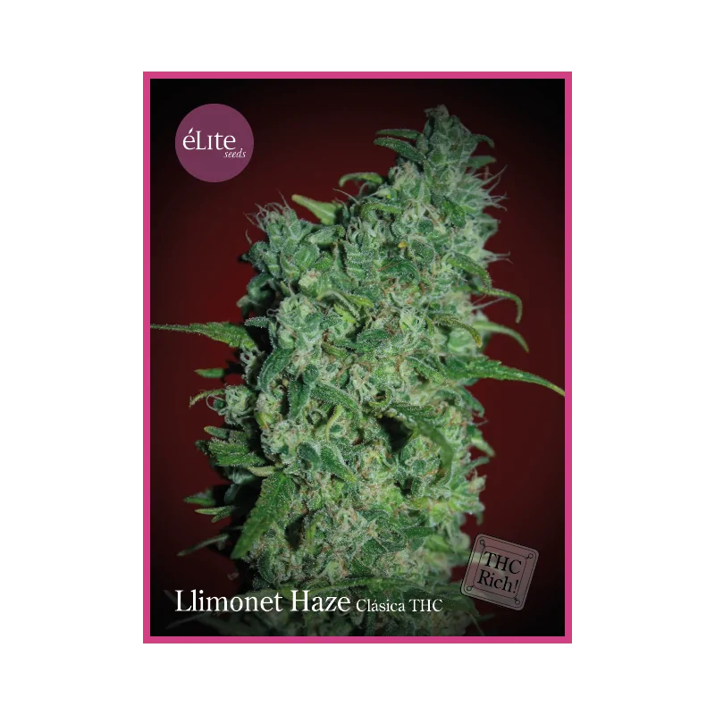 Llimonet Haze - Clásica ELITE SEEDS