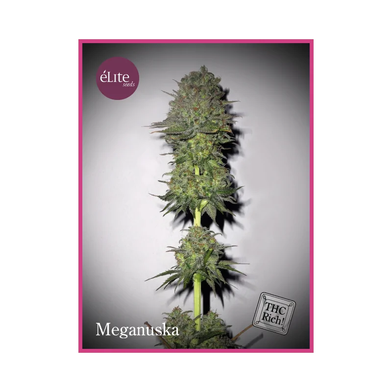 Meganuska ELITE SEEDS