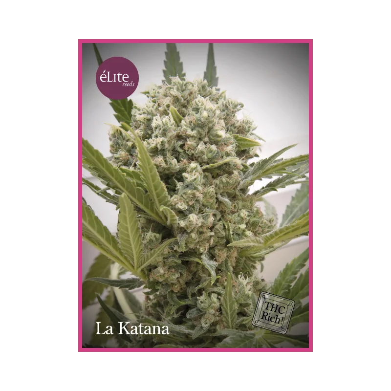 La Katana ELITE SEEDS