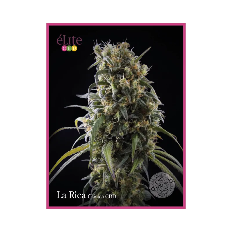 La Rica - Clásica CBD ELITE SEEDS