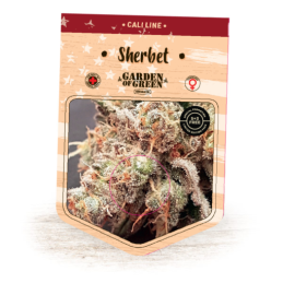 SHERBET EXPERT SEEDS