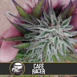 CAFÉ RACER