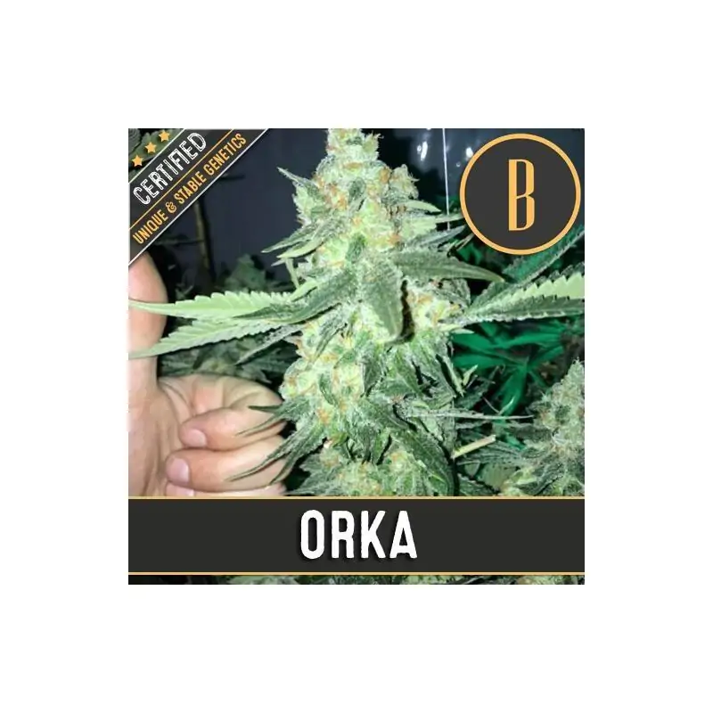 ORKA