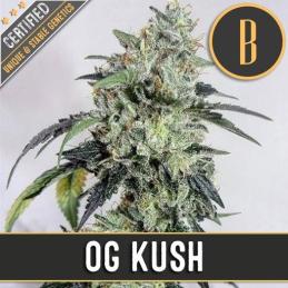 OG'S KUSH BLIMBURN