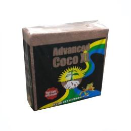 ADVANCED COCO XL - Sativagrowshop.com