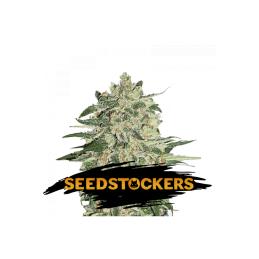 Big Bud Auto SeedStockers - Sativagrowshop.com