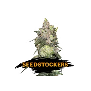 GIRL SCOUT COOKIES SeedStockers - Sativagrowshop.com
