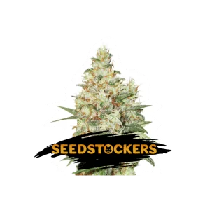 OG KUSH SeedStockers - Sativagrowshop.com