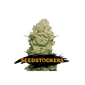 WHITE WIDOW SeedStockers - Sativagrowshop.com