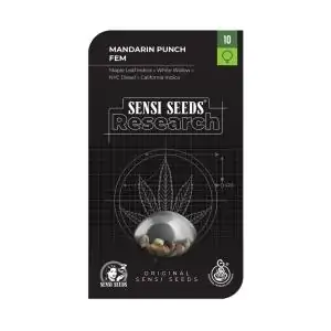 Mandarin Punch Sensi Seeds Research - Sativagrowshop.com