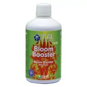 Bloom Booster