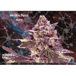Mystical Punch Auto