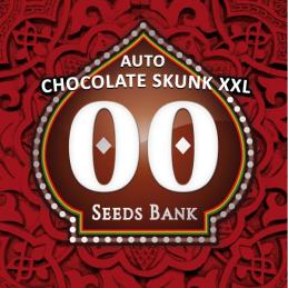 Auto Chocolate Skunk XXl
