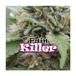 PAINKILLER DR. UNDERGROUND