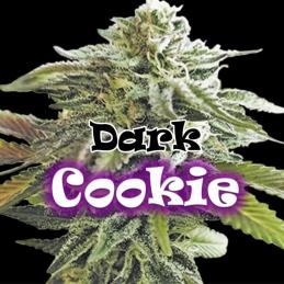 Dark Cookie