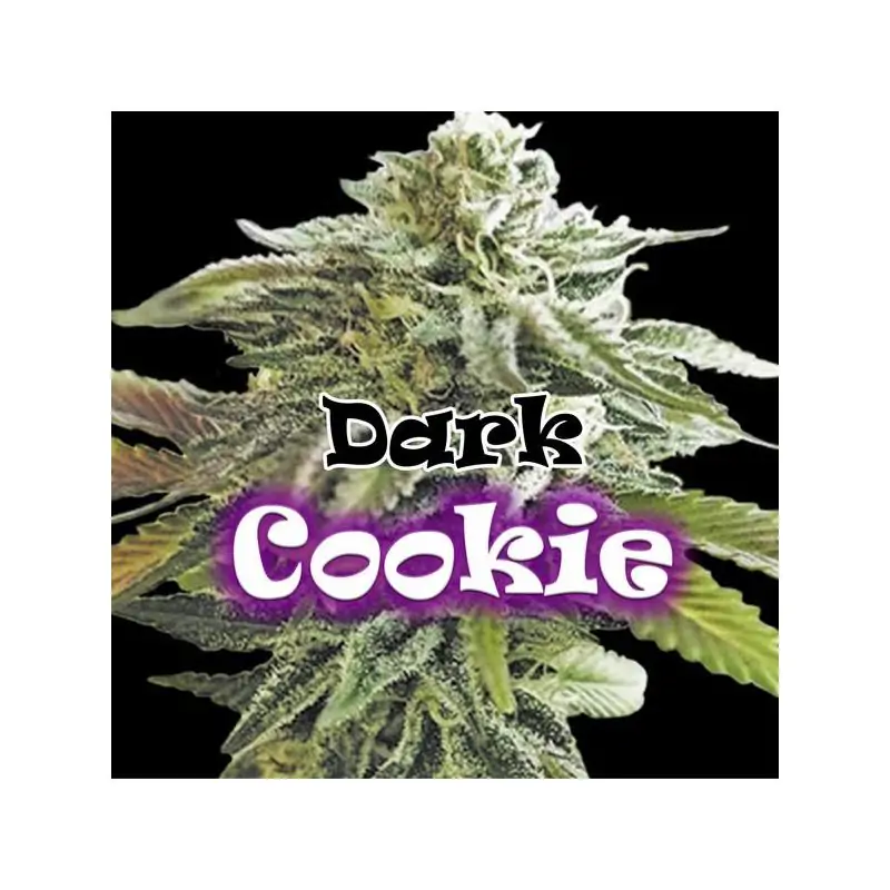 Dark Cookie