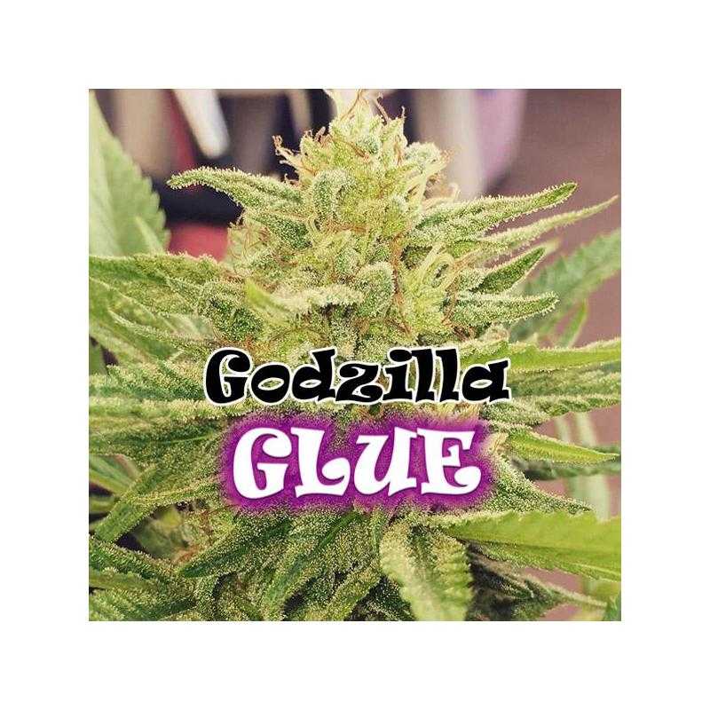 Godzilla Glue Godzilla Glue