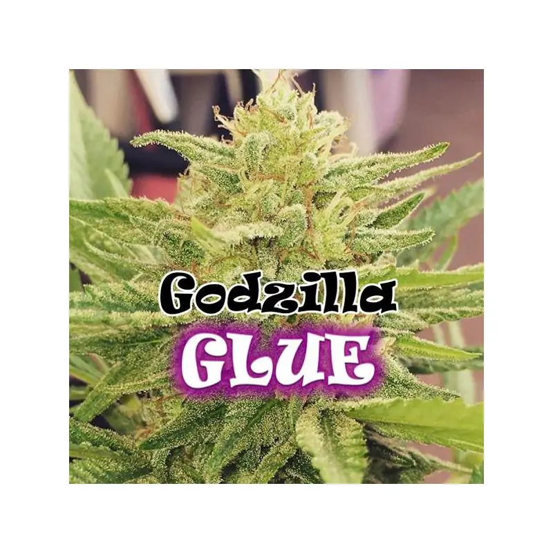 Godzilla Glue