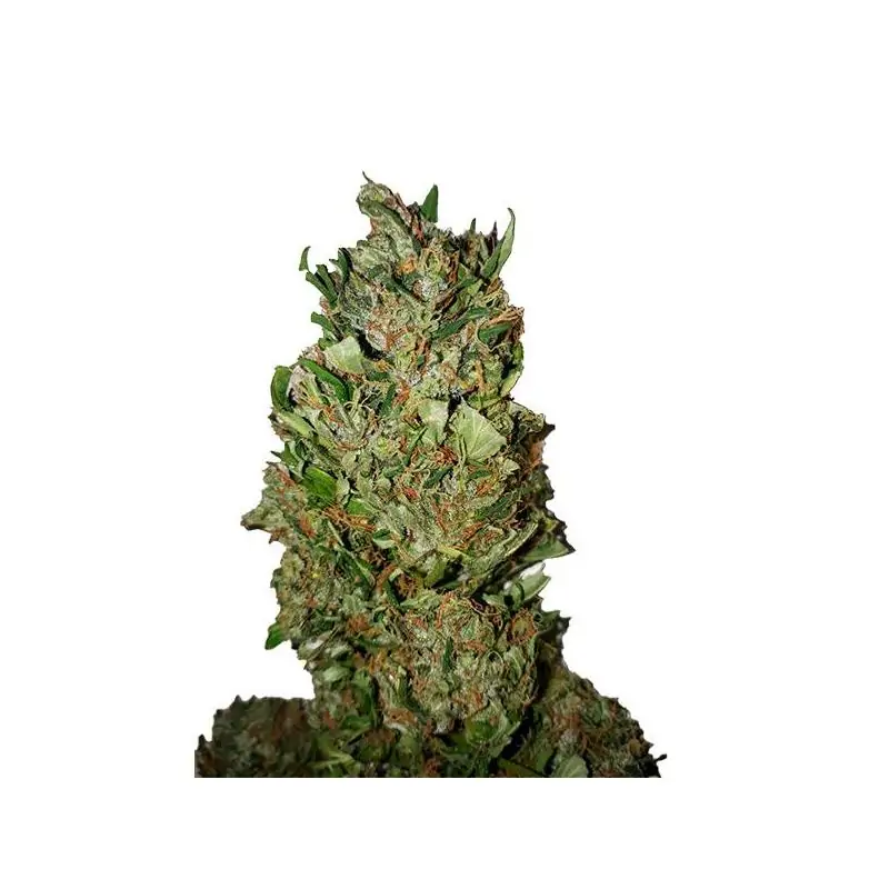 Cannatonic