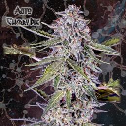 Auto Cherry Pie