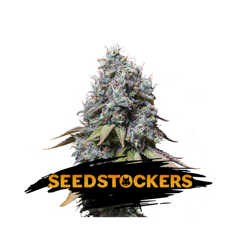 Sour Diesel Sour Diesel