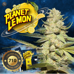 Planet Lemon