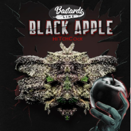 Black Apple Hitchcock
