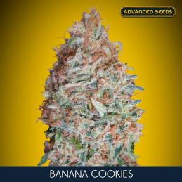 Banana Cookies
