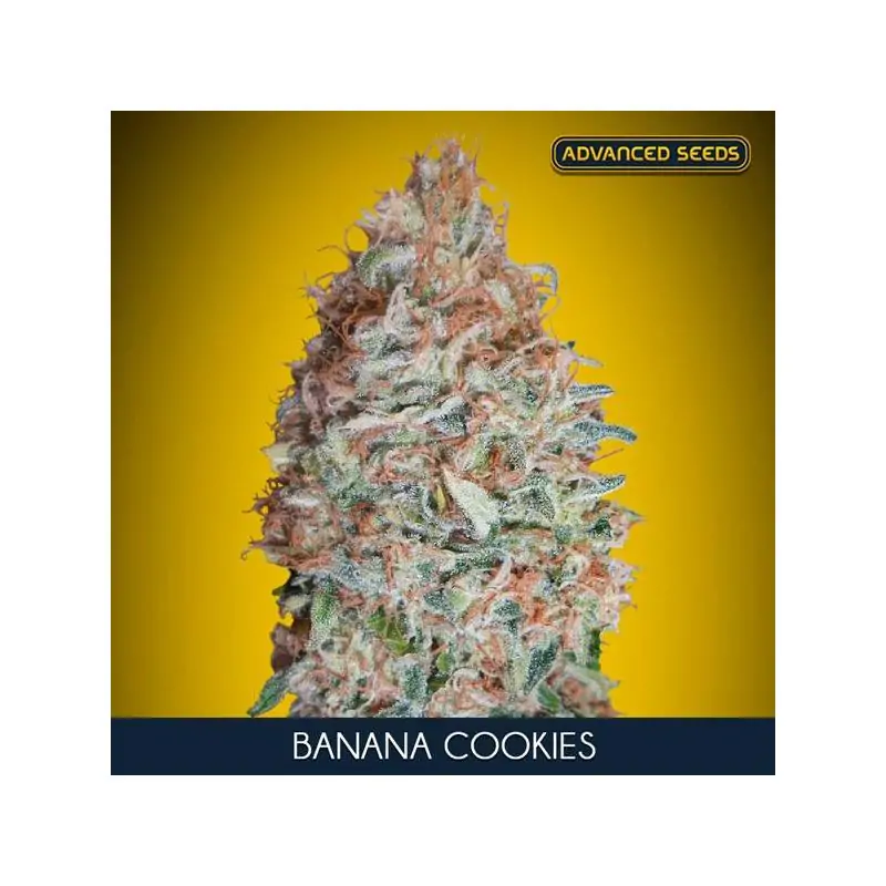 Banana Cookies