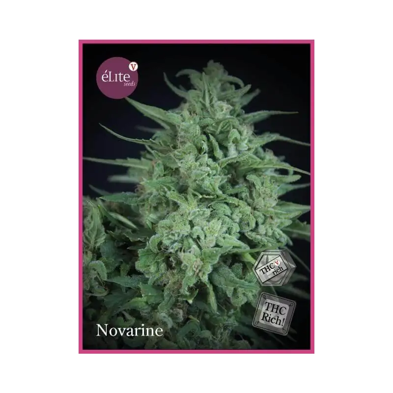 Novarine THCV