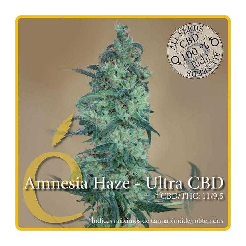 Amnesia Haze Ultra CBD Amnesia Haze Ultra CBD