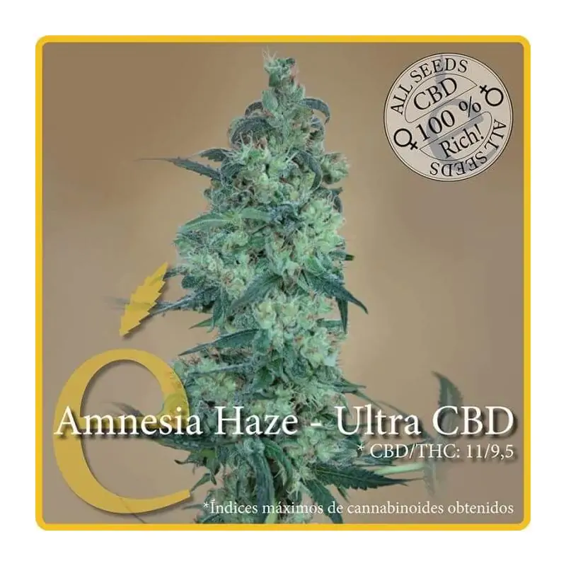 Amnesia Haze Ultra CBD