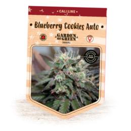 Auto Blueberry Cookies