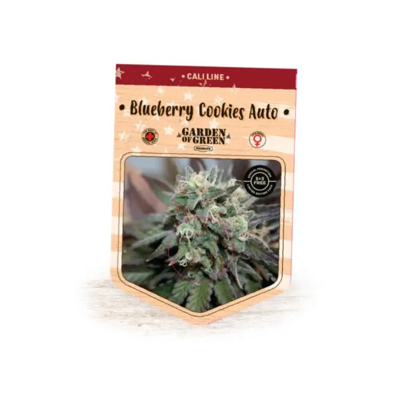 Auto Blueberry Cookies