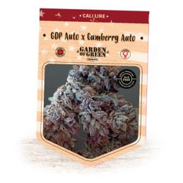 Auto Gumberries GDP