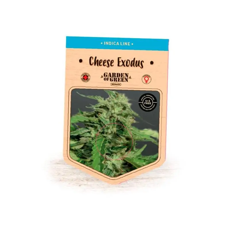 Cheese Exodus
