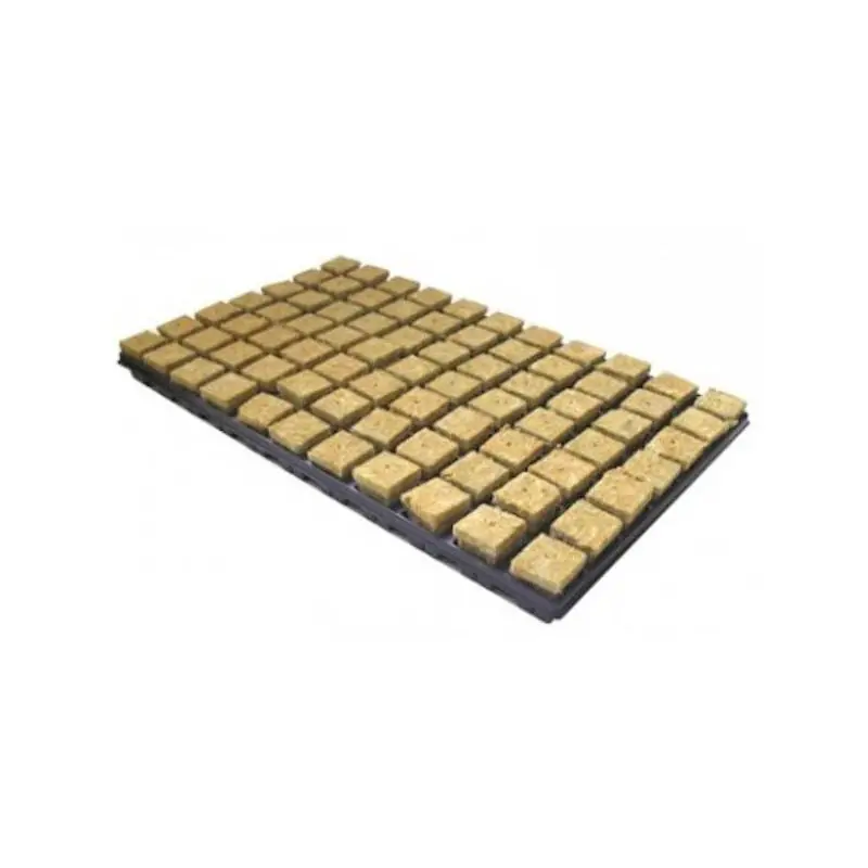 Bandeja Lana Roca 35 x 35 x 40 mm - 77 Alveolos